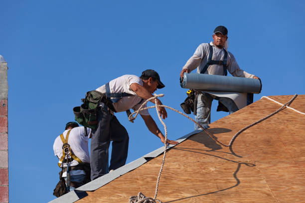 Best Roof Waterproofing Services  in Susitna North, AK