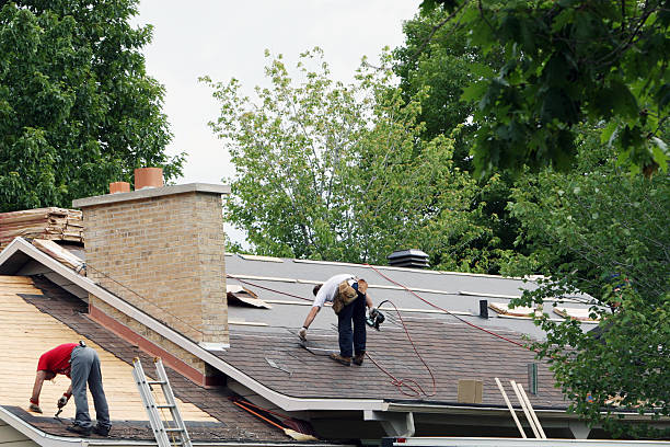 Best Roof Repair Services  in Susitna North, AK