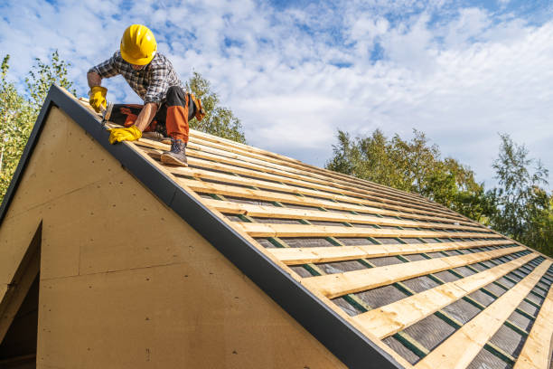 Gutter Installation and Roofing in Susitna North, AK