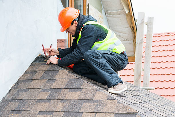 Best Commercial Roofing Services  in Susitna North, AK