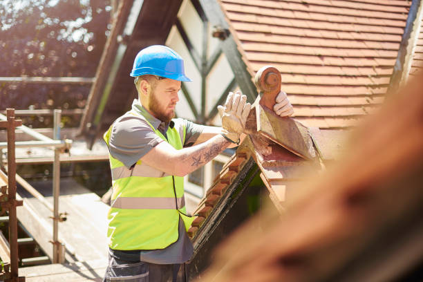 Best Commercial Roofing Services  in Susitna North, AK